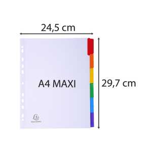 Exacompta Regis 6tlg A4+ wei manila +farbTab