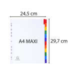 Exacompta Regis 12tlg A4+ wei manila +farbTab