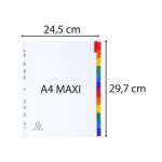 Regis 12tlg A4+ wei manila +farbTab