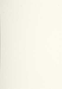 Lalo Strohpapier A4 120g 20Bl 3140290474161