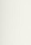 Lalo Briefblock A4/220g Velin creme