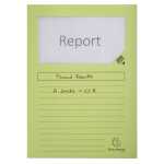 Fenstermp Pkg 100 SUPER-grün