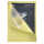 Exacompta Fenstermappe A4 Super-gelb 100St