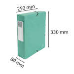 Exacompta Archivbox mE 80mm Manila A4 grün