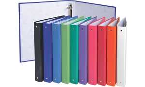 Exacompta Ringbuch A4 PP oE 4R 15mm sw