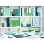 Exacompta Ringbuch A4/4R 30mm Iderama PP anis