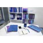 Exacompta Ringbuch A4/4R 30mm Iderama PP hbl