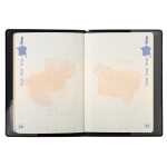 Schutzhüll RFID Hidentity® Passport