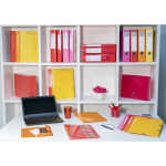 Exacompta Sammelm A4 Iderama PP A4+ mE rosa