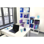 Exacompta Sammelm A4 Iderama PP A4+ mE violet