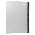 Exacompta Pultordner Ordonator 1-31 32tlg silber