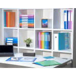 Exacompta Archivbox mE 25mm PP 0,8mm vio