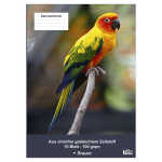 Clairefontaine Zeichenblock A2 geheftet 10Bl