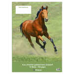 Clairefontaine Zeichenblock A2 geheftet 10Bl