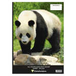 Clairefontaine Zeichenblock A3 geheftet 20Bl