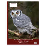 Clairefontaine Zeichenblock A4 geheftet 20Bl