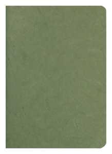 Clairefontaine Heft AgeBag A5 Leinen bl 48Bl grün