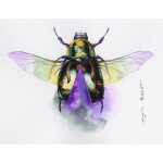 Clairefontaine Aquarellpap Etival 50x76 300g 10Bg