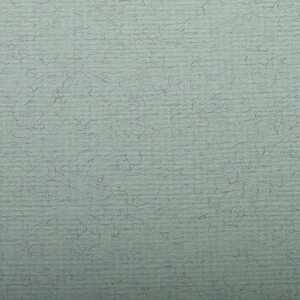 Clairefontaine Ingres 50x65 130g wassergrün 25Bg