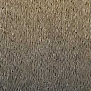 Clairefontaine Zeichenpapier 50x65 160g Hellbr 24B