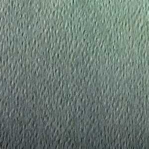 Clairefontaine Zeichenpapier 50x65 160g grasgn 24B