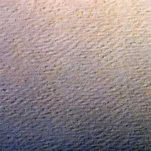 Clairefontaine Zeichenpapier 50x65 160g el 24Bg