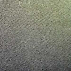 Clairefontaine Zeichenpapier 50x65 160g Hellgn 24B