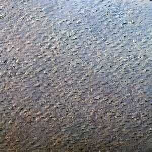 Clairefontaine Zeichenpapier 50x65 160g Köbl 24Bg