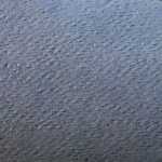 Clairefontaine Zeichenpapier 50x65 160g Köbl 24Bg