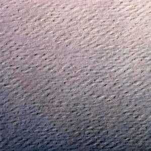 Clairefontaine Zeichenpapier 50x65 160g hrosa 24B