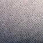 Clairefontaine Zeichenpapier 50x65 160g hrosa 24B