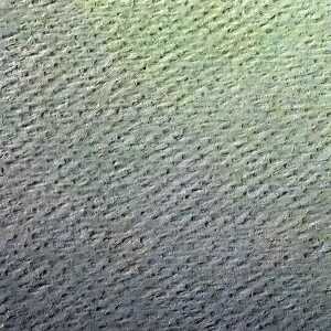 Clairefontaine Zeichenpapier 50x65 160g gn 24Bg