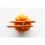 Rhodia  scRipt Kugelschreiber Orange