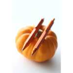 Rhodia  scRipt Kugelschreiber Orange