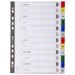 RegistA4 Monat PP farb+registerseit