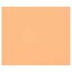 Clairefontaine 25Bl Tulipe 160g 50x65cm lachs