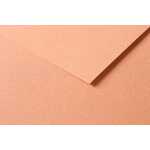 Clairefontaine 25Bl Tulipe 160g 50x65cm rost