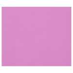 Clairefontaine 50Bl Tulipe 160g 50x65 lila