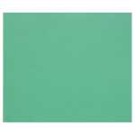 Clairefontaine 50Bl Tulipe 160g 50x65 dunkelgrün