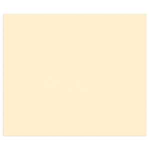 Clairefontaine 50Bl Tulipe 160g 50x65 elfenbein