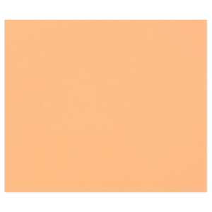 Clairefontaine 50Bl Tulipe 160g 50x65 lachs