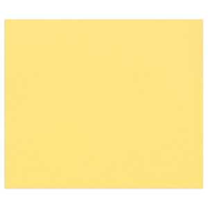 Clairefontaine 100Bl Tulipe 160g A4 Buton dOr