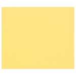 Clairefontaine 100Bl Tulipe 160g A4 Buton dOr