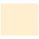 Clairefontaine 100Bl Tulipe 160g A4 elfenbein