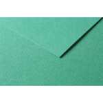 Clairefontaine 50Bl Tulipe 160g A3 dunkelgrün