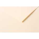 Clairefontaine 50Bl Tulipe 160g A3 elfenbein