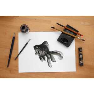 Clairefontaine Lavis Technique 250g A3 Bog 20 Bl.