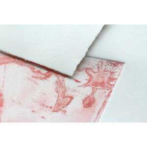 Clairefontaine Fleur Cotton Bog 10 Bl. 76x112 250g