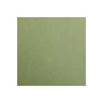Clairefontaine Maya 185g 50x70cm khaki 25Bl
