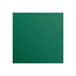 Clairefontaine 25Bl Maya 185g 70x100cm antikgrün